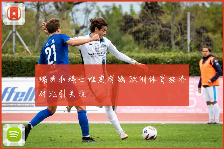 瑞典和瑞士谁更有钱 欧洲体育经济对比引关注