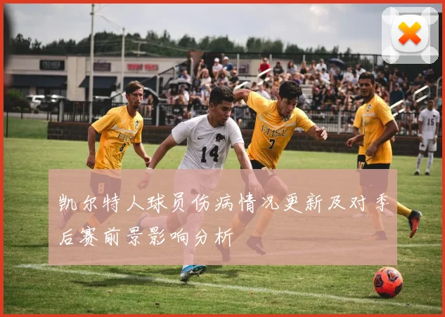 凯尔特人球员伤病情况更新及对季后赛前景影响分析