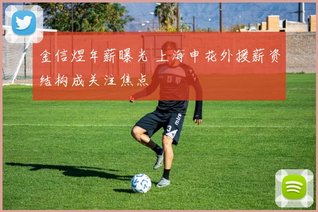 金信煜年薪曝光 上海申花外援薪资结构成关注焦点